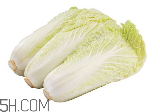娃娃菜熱量是多少？娃娃菜為什么叫娃娃菜
