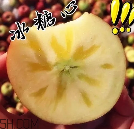 冰糖心蘋果什么時(shí)候采摘？冰糖心蘋果什么時(shí)候上市