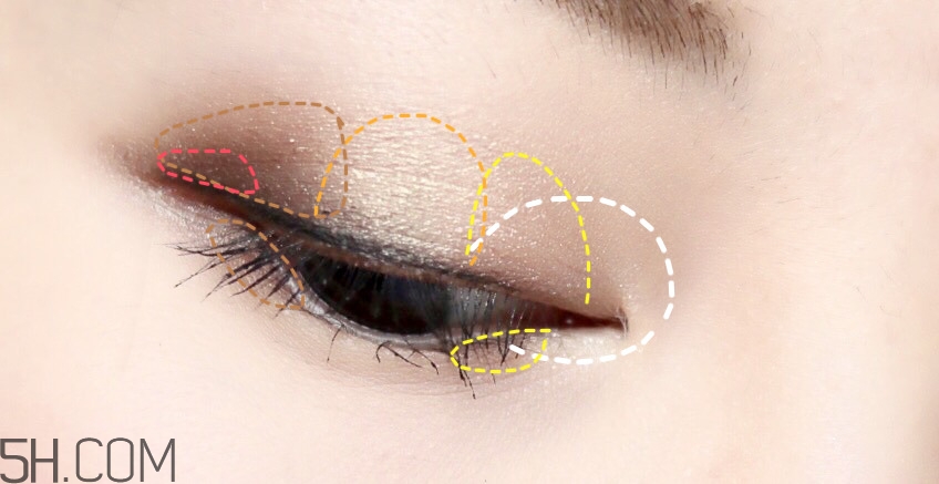 wet n wild8色眼影盤(pán)試色_畫(huà)法教程