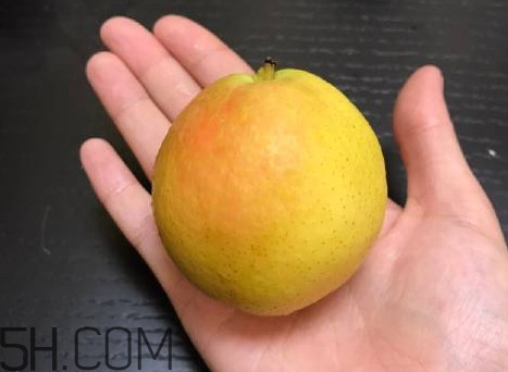 南果梨是寒性水果嗎？南果梨是涼性還是熱性