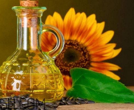 葵花籽油有轉(zhuǎn)基因的嗎？葵花籽油和玉米油哪個(gè)好