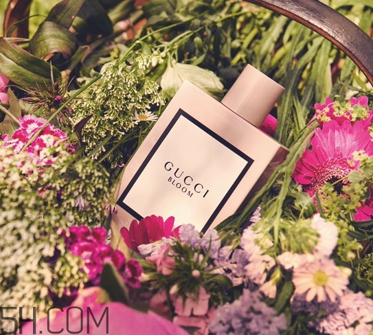 gucci bloom香水多少錢？gucci bloom香水專柜價(jià)格
