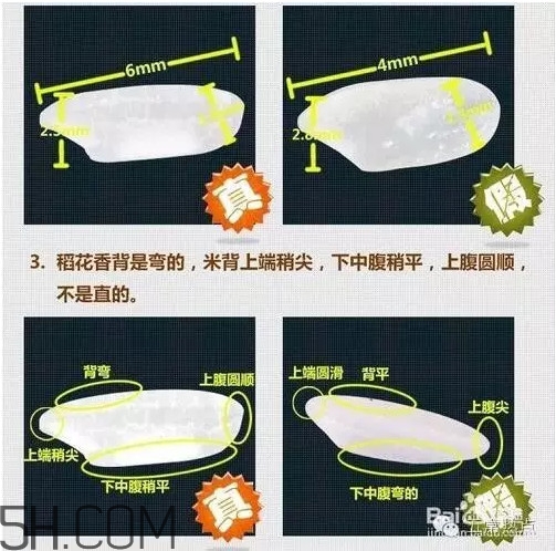五常大米怎么辨別真假？五常大米和普通米的區(qū)別