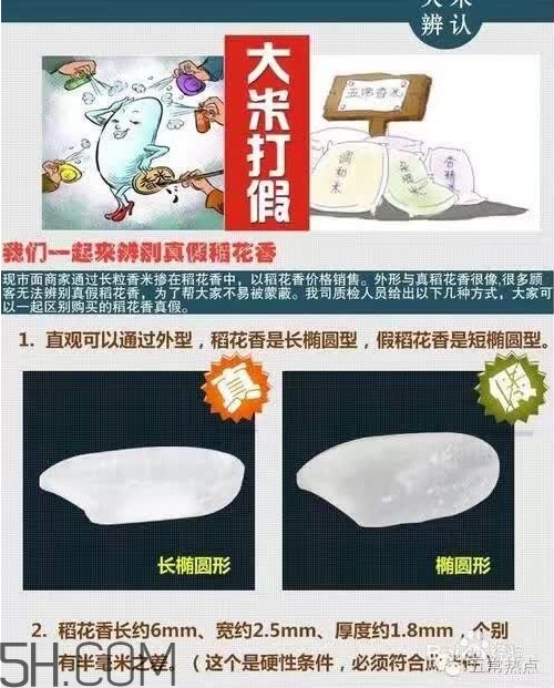 五常大米怎么辨別真假？五常大米和普通米的區(qū)別