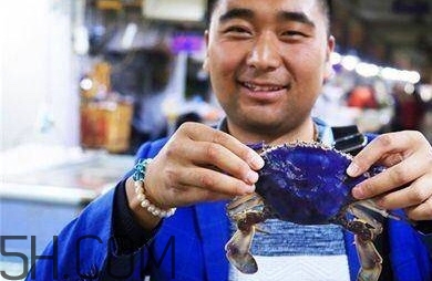 藍(lán)色梭子蟹可以吃嗎？梭子蟹蟹腿變藍(lán)可以吃嗎