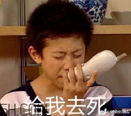 diediedie什么意思？diediedie表情包