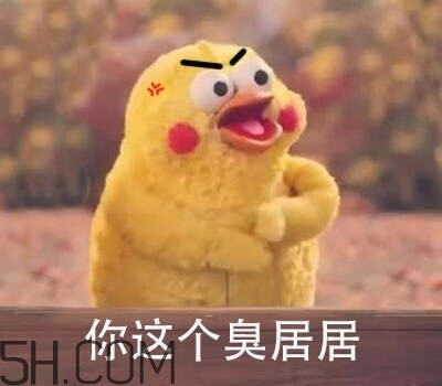 你個臭居居什么意思？你個臭居居表情包