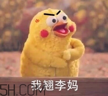 翹李媽什么意思？我翹李媽表情包