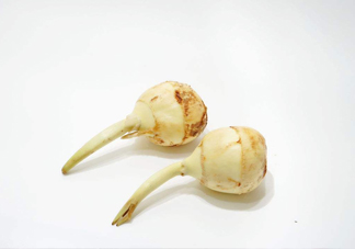 慈菇是發(fā)物嗎？慈菇是馬蹄嗎