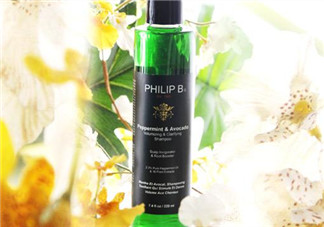 philip b薄荷鱷梨豐盈澄凈洗發(fā)水怎么樣？philip b洗發(fā)水測(cè)評(píng)