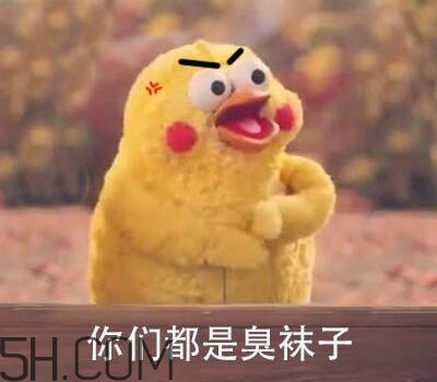 你們都是臭襪子什么意思？你們都是臭襪子表情包