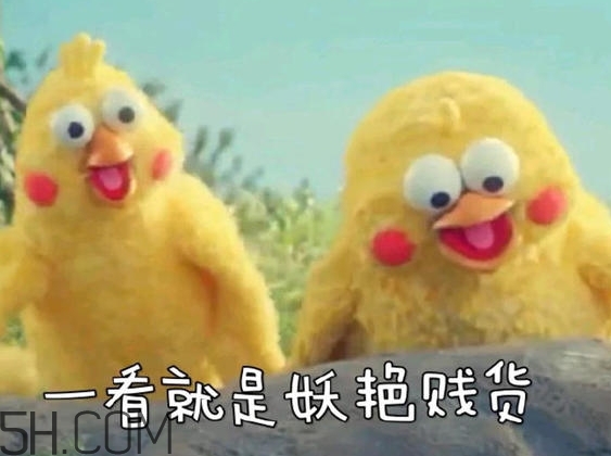 你們都是臭襪子什么意思？你們都是臭襪子表情包
