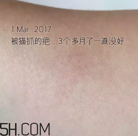 海藍(lán)之謎pk深海四十噚最全測(cè)評(píng) 面霜哪家好？