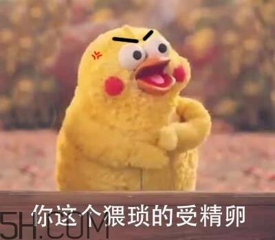 你這個猥瑣的受精卵是什么意思？你這個猥瑣的受精卵表情包