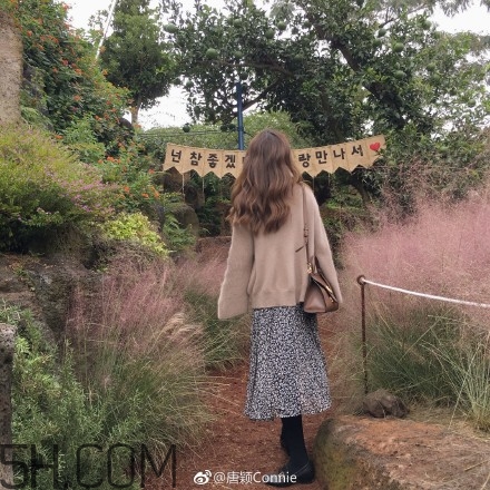 粉黛亂子是什么植物？粉黛亂子草花語