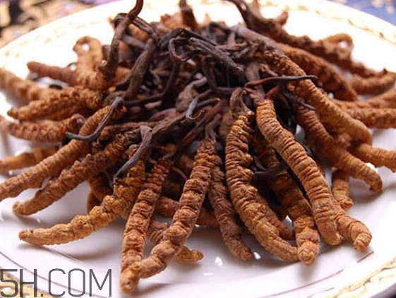冬蟲(chóng)夏草可以人工種植嗎？冬蟲(chóng)夏草可不可以放在冰箱里