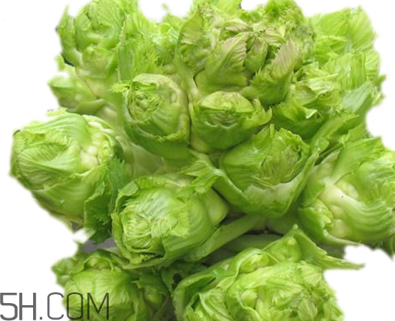 青菜頭是不是兒菜？大頭菜和兒菜的區(qū)別