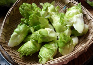 兒菜為什么叫兒菜？兒菜什么季節(jié)吃的