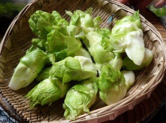 兒菜為什么叫兒菜？兒菜什么季節(jié)吃的