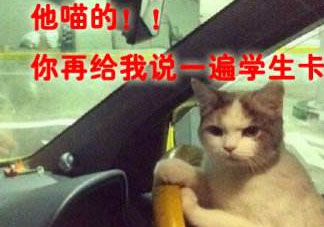網(wǎng)絡(luò)語(yǔ)言開(kāi)車(chē)什么意思 網(wǎng)絡(luò)用語(yǔ)開(kāi)車(chē)是什么意思