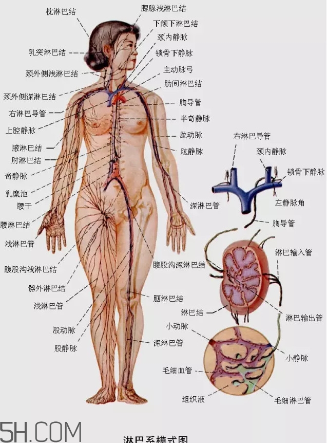 淋巴癌最嚴重時會成什么樣子？淋巴瘤能治好嗎