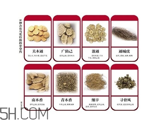 含馬兜鈴酸的藥都不能吃嗎？馬兜鈴酸真的會(huì)致癌嗎