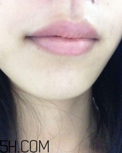 dhc美容液唇膏好嗎？dhc尊貴美容液唇膏試色