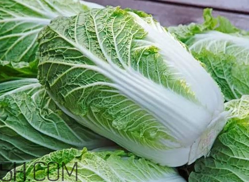 大白菜什么時(shí)候種最合適？大白菜怎么做好吃
