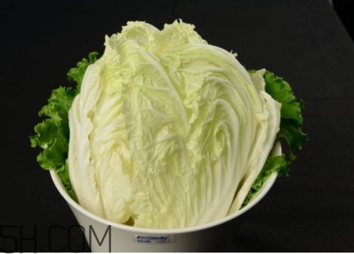 大白菜起源是哪里？大白菜產(chǎn)地分布有哪些