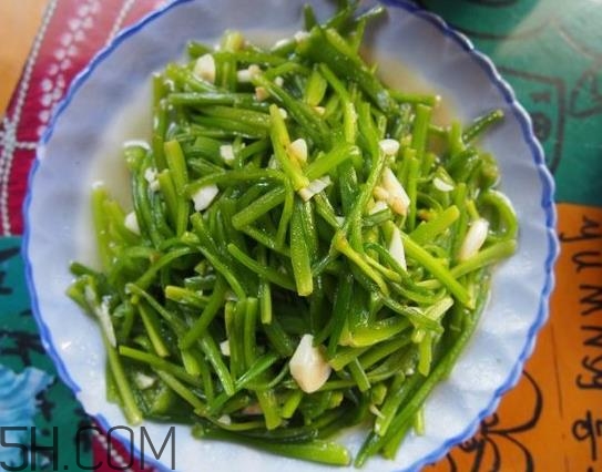 麗江水性楊花是什么菜？水性楊花菜怎么做？