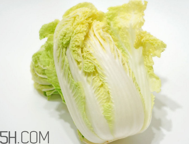 大白菜起源是哪里？大白菜產(chǎn)地分布有哪些
