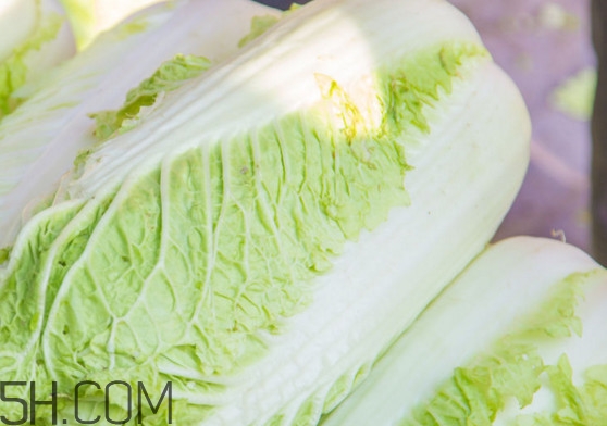 大白菜可以生吃嗎？大白菜可以隔夜吃嗎