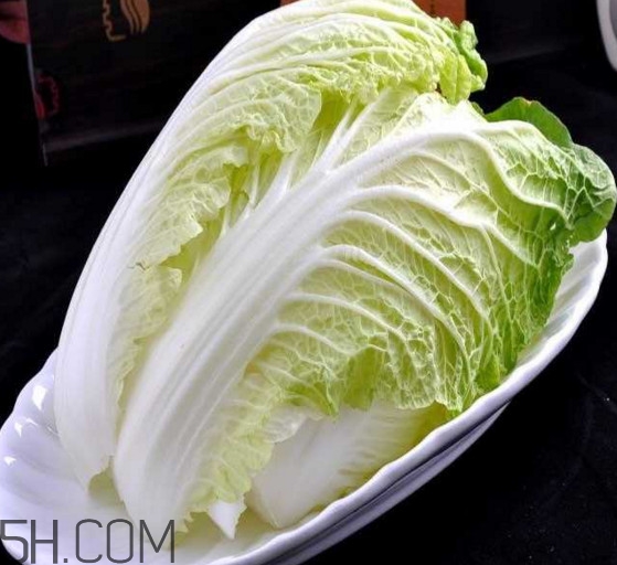 大白菜起源是哪里？大白菜產(chǎn)地分布有哪些