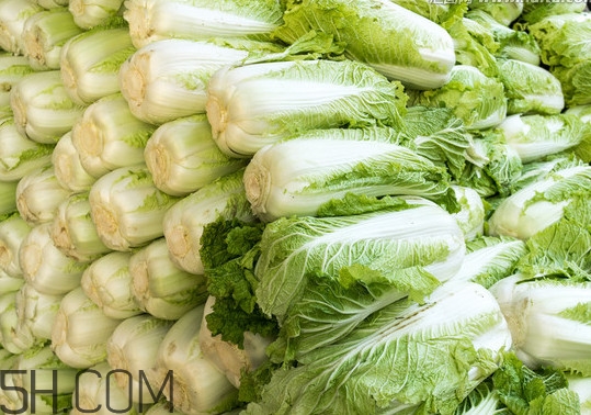 冬儲大白菜怎么才不會壞？冬儲大白菜什么時候上市