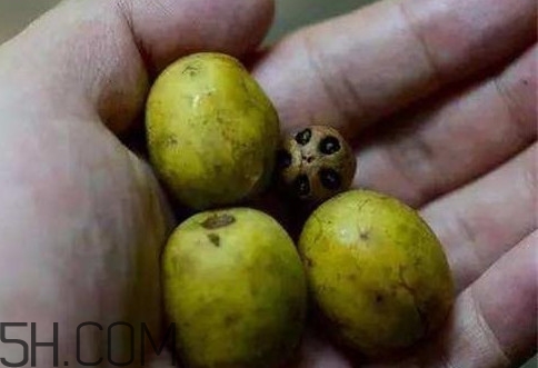 南酸棗可以泡酒嗎？南酸棗果核有什么功效