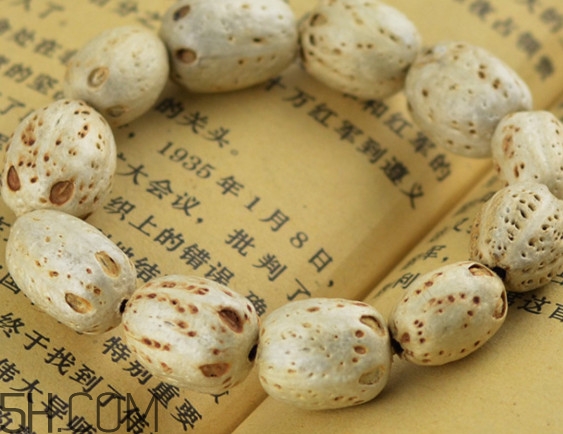 南酸棗是棗嗎？南酸棗的核如何做手串