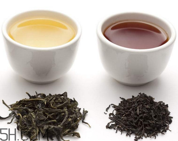 烏龍茶是什么茶？烏龍茶是紅茶還是綠茶