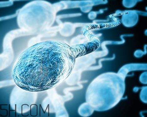 先天性無(wú)精癥怎么辦？先天性無(wú)精癥能治好嗎？
