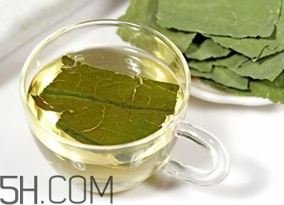荷葉茶大概哪里有賣？荷葉茶副作用有哪些