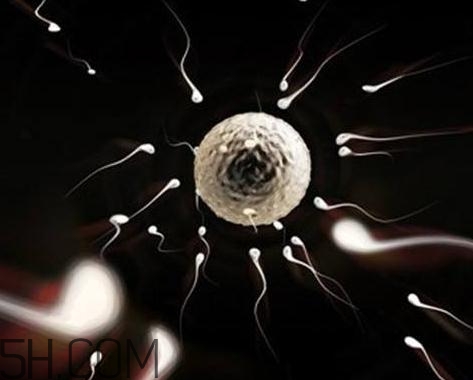 少精癥能自然懷孕嗎？少精癥多久能治好？