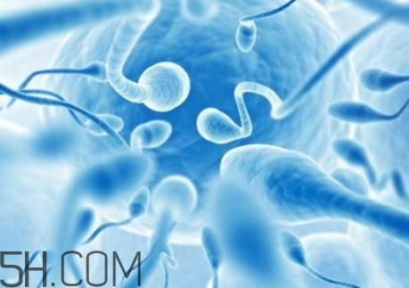 精子不液化是什么原因造成的？精子不液化吃什么藥好？