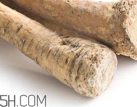 芥末是辣根嗎？辣根和芥末的區(qū)別