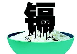 鎘污染會(huì)導(dǎo)致什么病？江西大米為何會(huì)鎘污染