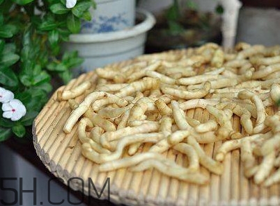 什么時(shí)候嫩姜芽上市？姜芽的功效與作用