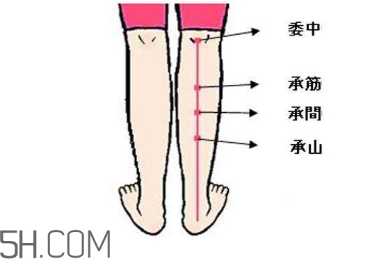 小腿抽筋可以跑步嗎？小腿抽筋可以拔火罐嗎