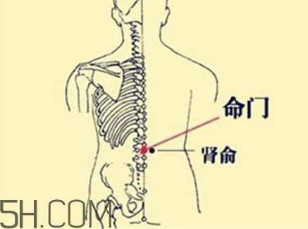 小腿抽筋可以跑步嗎？小腿抽筋可以拔火罐嗎