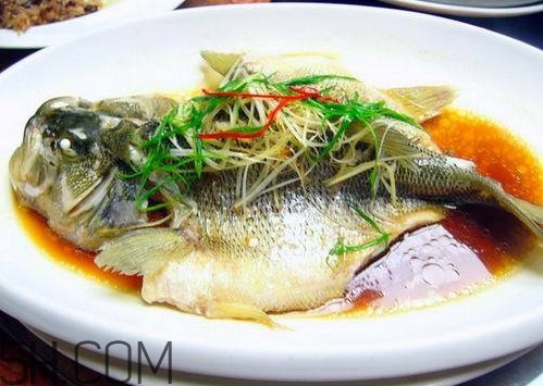 松江鱸魚怎么做？松江鱸魚養(yǎng)殖技術(shù)