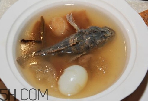 松江鱸魚哪里有？松江鱸魚什么季節(jié)吃最好