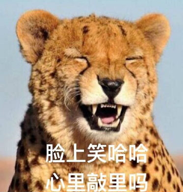 敲里lailai是什么意思？敲里lailai表情包無(wú)水印