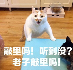 敲里lailai是什么意思？敲里lailai表情包無(wú)水印